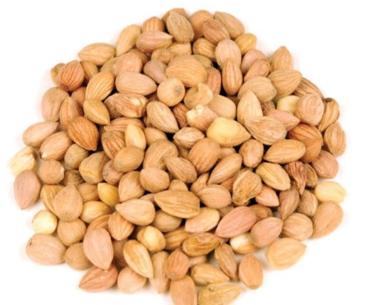 محلب حب