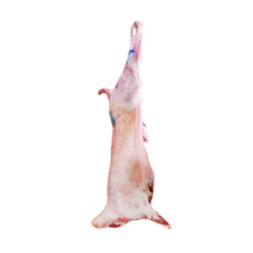 خاروف روماني طازج