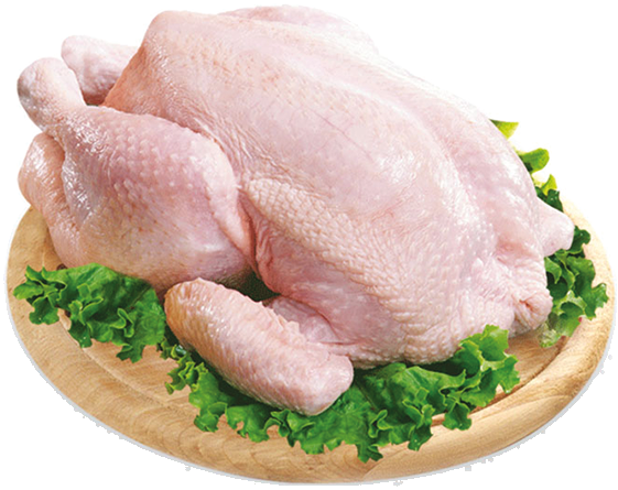 دجاج طازج