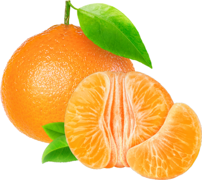 مندلينا