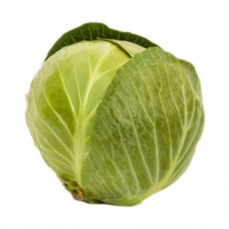 ملفوف