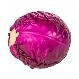 [ccc] ملفوف احمر