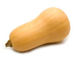 يقطين
