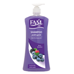 [00094] فام شامبو للشعر الجاف 1700 مل‎