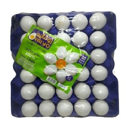 [7] XL بيض اوفاليو مغلف