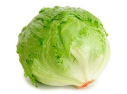 [8] خس ايسبرغ