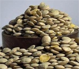[kkk] عدس حب حب كبير