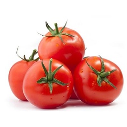 [00022] بندورة معلقة