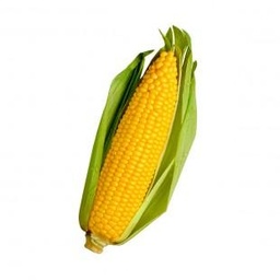 [ccc] ذرة عرنوس
