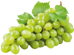 [00030] عنب  سوبر