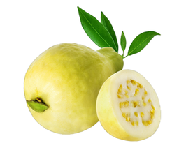 [00045] جوافة سوبر